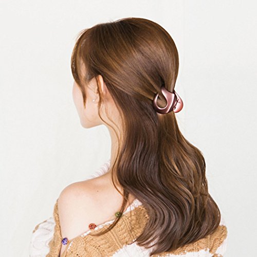 image for Jaw Clips, Fascigirl 5pcs Hair Clamps Simple Irregular Non Slip Hair A