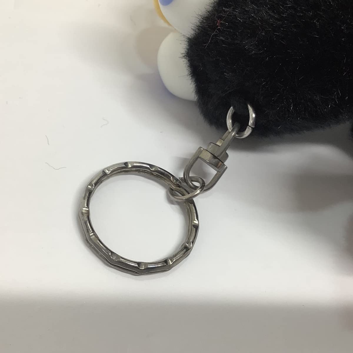 Amazon.co.jp: サンシャインシティ 水族館 オウオウアシカ