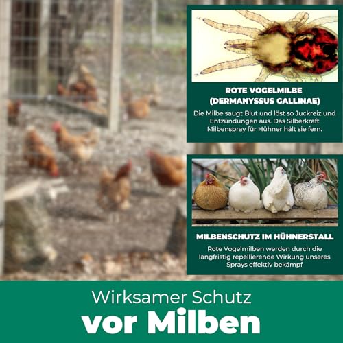 Silberkraft Milbenspray 500 ml für Hühner und Ziervögel, zuverlässiger Milbenschutz, effizientes und garantiert hilfreiches Anti-Milben-Mittel
