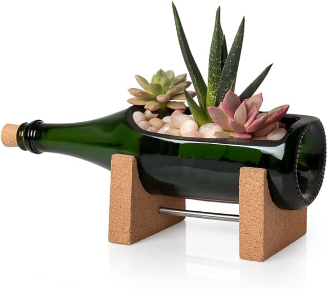 Elegant Bottle Planter Made from Upcycled Champagne Bottles | Eco-Friend...
