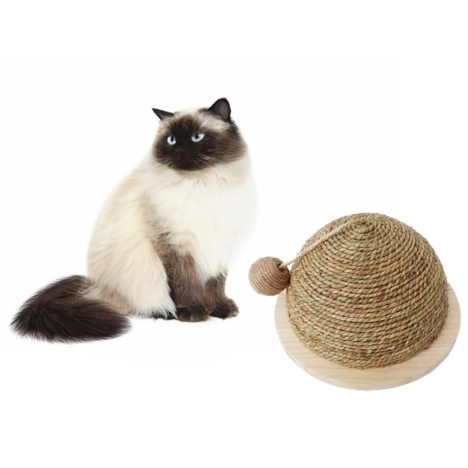 Structure d'escalade chat en bois noble avec finition paille tressée Abaodam