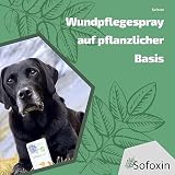 Sofoxin V Extra - Wundpflegespray für Tiere Vegan – Einfach, professionell, unkompliziert – Enthält pflanzliche Polymere - Soforthilfe bei Verletzungen der Haut – 50 ml