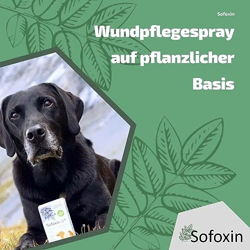 Sofoxin V Extra - Wundpflegespray für Tiere Vegan – Einfach, professionell, unkompliziert – Enthält pflanzliche Polymere - Soforthilfe bei Verletzungen der Haut – 50 ml
