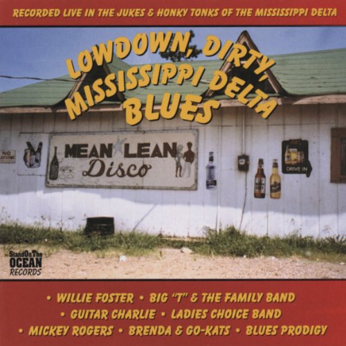 Lowdown Dirty Mississippi Delta Blues (US Import)