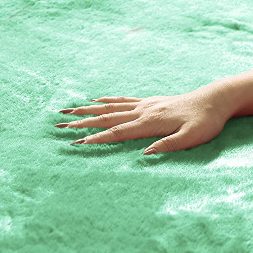 Image of FH Group Universal Fit Full Set Doe16 Faux Rabbit Fur Automotive Floor Mats fits most Cars, SUVs, Trucks and Vans Mint