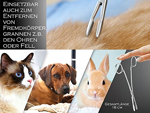 Zupfzange für Hundeohren Haarzange Hunde Haarzupfzange Tierhaar-Entferner Edelstahl Rostfrei mit Innenzahnung ohne Sperre in Profi-Qualität (18 cm)