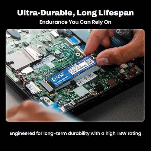 Image of EVM 2TB NVMe Gen 3x4 Internal SSD (2280) - Upto 3800MB /s Read & 3000MB /s Write | PCIe 3.0 M.2 Solid State Drive for Gaming, Laptops & Desktops | Shock Resistant & 5-Year Warranty (EVMNV /2TB)