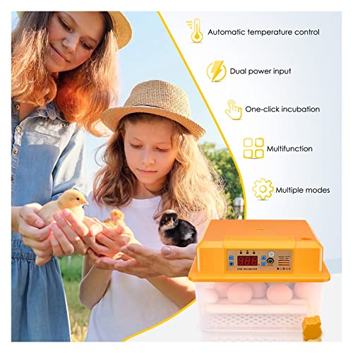 Incubateurs pour œufs à couver automatiques pour 16 œufs de poulet - 6