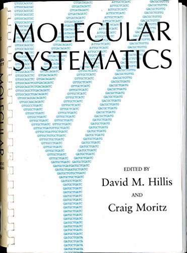 Molecular Systematics 0878932801 Book Cover