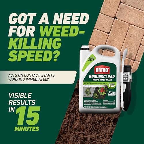 Image of Ortho GroundClear Weed & Grass Killer with Comfort Wand - Kills Dandelions, Chickweed, Crabgrass, Moss & More, OMRI Listed, Ready-to-Use Grass and Weed Killer Spray, 1 gal. (Pack of 4)