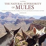 The Natural Superiority of Mules: A Celebration of One of the Most Intelligent, Sure-Footed, and Misunderstood Animals in the World, Second Edition
