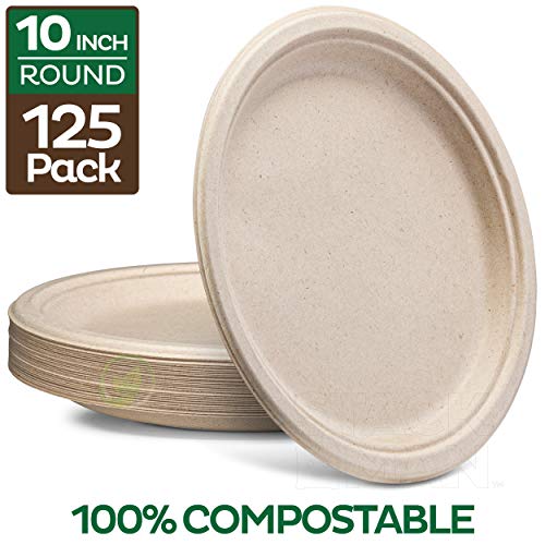 Stock Your Home 9Inch Paper Plates Uncoated Everyday Disposable Plates 9 Paper Plate Bulk 200