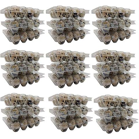Weilan Quail Egg Cartons,Small Egg Storage Box,Mini Egg Dispenser Holder Case,Plastic Egg Protection Box,12 Grids(20) Cover