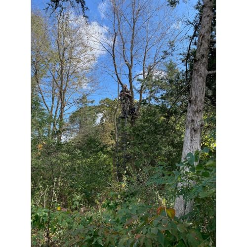 Image of Big Game Warrior Elite Ultra-Wide Ladder Whitetail Deer Elk Mule Above