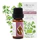 Essences Bulgaria Greek Oregano