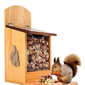 Eekhoornvoeder, eekhoornhuis, houten eekhoornvoederdoos, met dekking voor de tuin, achtertuin, cadeau voor eekhoornliefhebbers