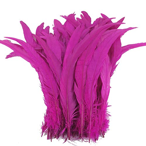 Sowder Fushia Rooster Coque Tail Feathers 13-16inch Lengh Pack of 50