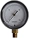 Ashcroft Type 1490 Glass Filled Polysulfone Low Pressure Diaphragm Gauge, Beryllium Copper, Brass, Polysulfone and RTV Silicone Wetted Material, Brass Socket and Movement, 2-1/2" Dial Size, 1/4" NPT Lower Connection, 0/2.5 kPa Pressure Range