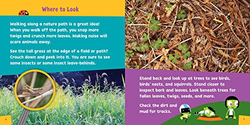 Look and Learn Nature Detective (9) (PBS Kids) - Image 3