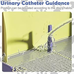 PINVNBY Dog Potty Toilet with Wall Column, Indoor Pet Dog Training Toilet Potty Tray, Portable Training Pee Pads Holder, Removable Mesh Dog Litter Box for Dogs(Green-Blue)