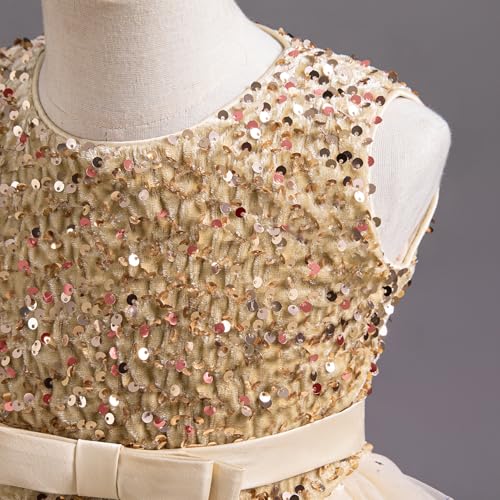 Nileafes Flower Girl Princess Dresses Birthday Party Ball Gown3