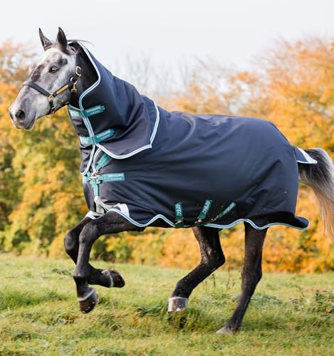 Couverture extérieur Horseware Amigo Bravo 12 Plus Medium 250g imperméable
