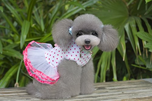 Dogloveit Grenadine Tutu Polka Dot Dress With Cherry Pattern Summer Cute Clothes For Dog Cat Puppy Pet,Pink,X-Small #TOP4