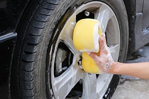 Pro-Kleen 5 Litres Carnauba Wash and Wax Shampoo (Green - Apple Fragrance)