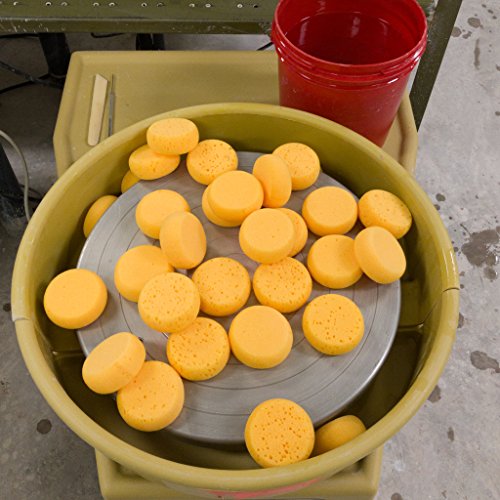 Stoned Studio | 2.5 Inch Artist Sponge | Painting Sponge | Watercolor | Crafts | Clay | Ceramics | Face Painting | Household Use | 30 Pcs #TOP1