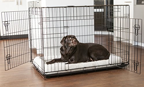 Lucky Dog 2 Door Dog Kennel (42-inch)