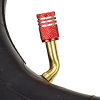 Vista 2 de FVRITO Tubo interior de 10 x 2.502.75 de 10 pulgadas para auto equilibrio inteligente movilidad Scooter eléctrico 36 V 48 V 400 W 500 W 800 W Hub