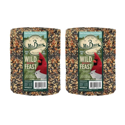 Image of Mr. Bird WildBird Feast Cylinder, 2-Pack, 4 lbs