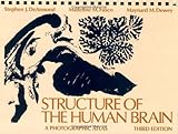 Structure of the Human Brain: A Photographic Atlas