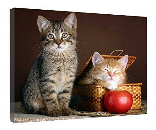Toile de chatons mignons pour chambre d'enfant tableau animaux prêt à poser