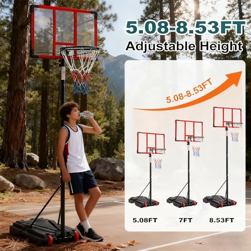 Aidoly Portable Basketball Hoop Reviews