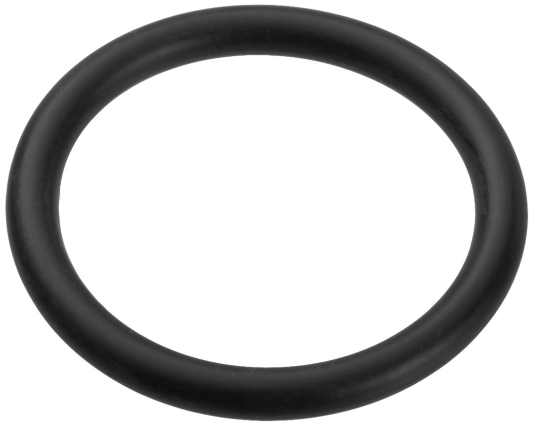 Amazon.com: Pentair U9-371 O-Ring for Drain Cap Replacement