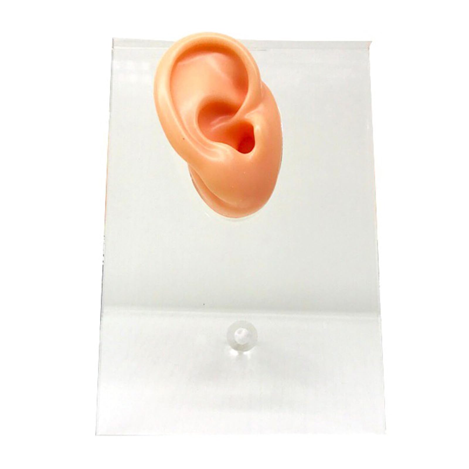 Yrqmgsf Right Crystal Silicone Ear Model Simulation Silicone Ear Model For Display, Sketching, Teaching, Project Practice,,9Cm