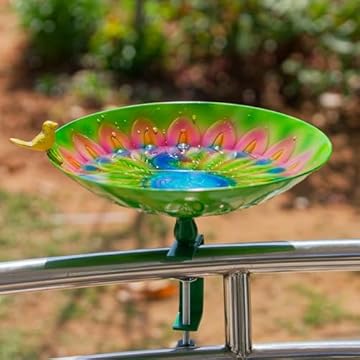 Bird Bath with Thermometer – Which Five Will Transform Your Garden? 1 bird bath with thermometer