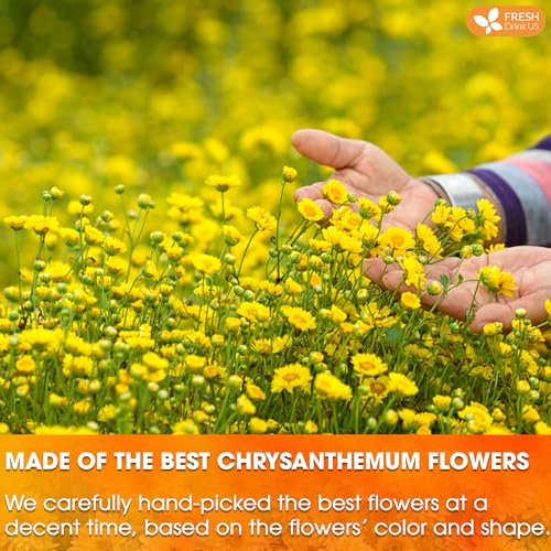 Image of FreshDrinkUS Premium Chrysanthemum Flower Tea Bags - 120 Count, 100% Natural and Pure, Eco-Conscious. Herbal Tea, No Sugar, No Caffeine, No Gluten, Vegan