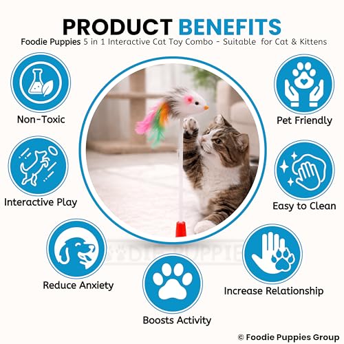 Image of Foodie Puppies 5-in-1 Interactive Cat Mini Toy Combo for Cats & Kittens | Blowfish Toy, Mouse Cage Ball, Spring Coil, Fur Mouse Stick & White Fur Mouse | Indoor Play & Exercise Toys