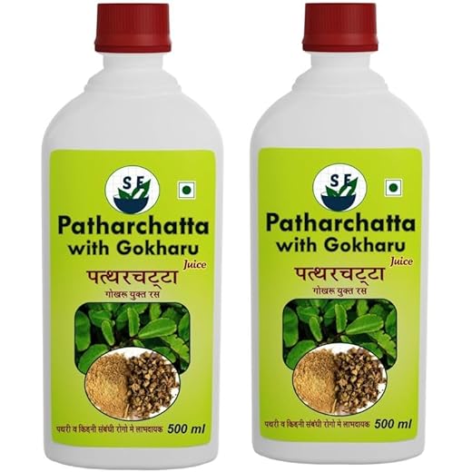 SE Patharchatta Prostate 500ml Pack