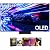 Samsung S95D 55 inch HDR OLED Smart TV (2024) w/Premiere Movie Streaming Package & Deco Gear 4K HDMI 2.0 Cable w/Pure Copper Conductors x2 + CPS Exclusive 12 Month Protection Pack (BEACH-CPS-262000)
