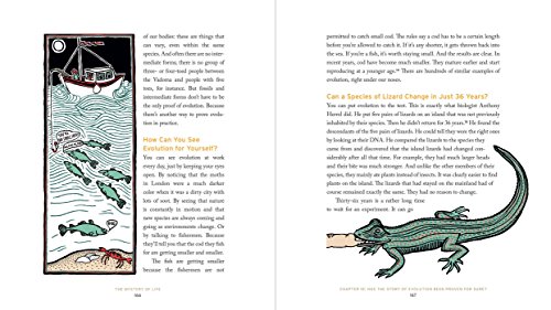 The Mystery of Life: How Nothing Became Everything - Image 8