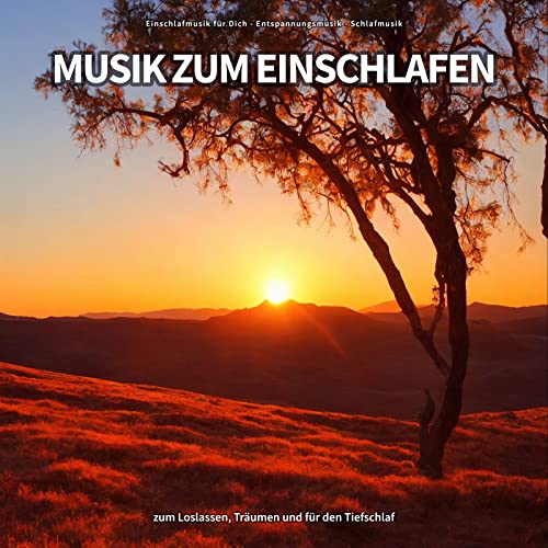 Amazon MusicでEinschlafmusik für Dich, Entspannungsmusik & Schlafmusikの