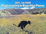 Kackende Hunde Kalender 2026, Dogs Pooping in Beautiful Places Calendar 2026, Hunde beim Kacken Kalender, Pooping Dogs Calender 2026, Lustiger Wandkalender für Hundefreunde
