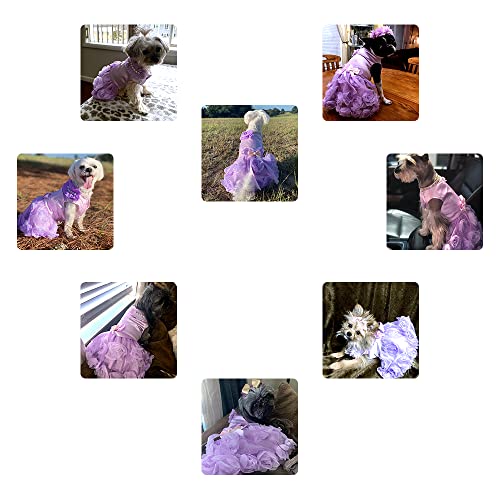 Nacoco Dog Wedding Dress Cat Colorful Skirt Dogs Birthday Party Pet Princess Dresses For Small Dogs Cat And Tutu In Spring And Summer(Purple,Xs) #TOP2