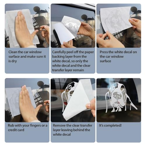 Image of WIRESTER 6 inch Clear Vinyl Decal Sticker Decoration for Car Window (Or Any Flat Surface) - Sunny Wild Flowers