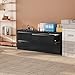 INTERGREAT Lateral File Cabinet 2 Drawer, Black Metal File Cabinets for Home Office, Locking File Cabinet for Letter/Legal/F4/A4 Size Hanging Files, Easy Assembly
