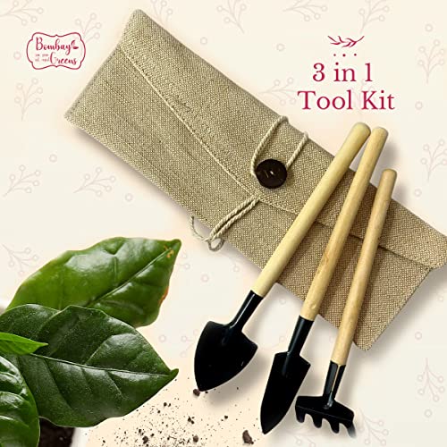 Bombay Greens Mini Gardening Tools Kit for Home Garden | Wooden Handle Garden Tools Set of 3 - Shovel, Spade & Rake in an Eco-Friendly Cloth Pouch