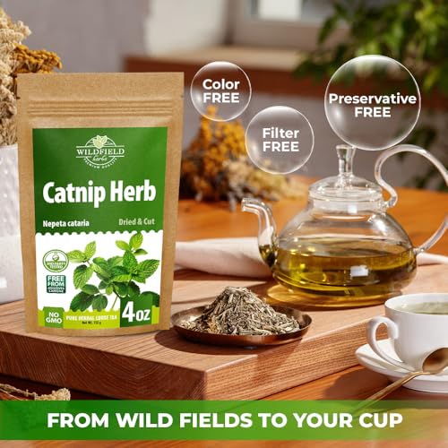 Image of 4 oz. Catnip Tea Catnip Herb Tea (Nepeta L.) - 113g Cat Nip Herb Hierba Gatera